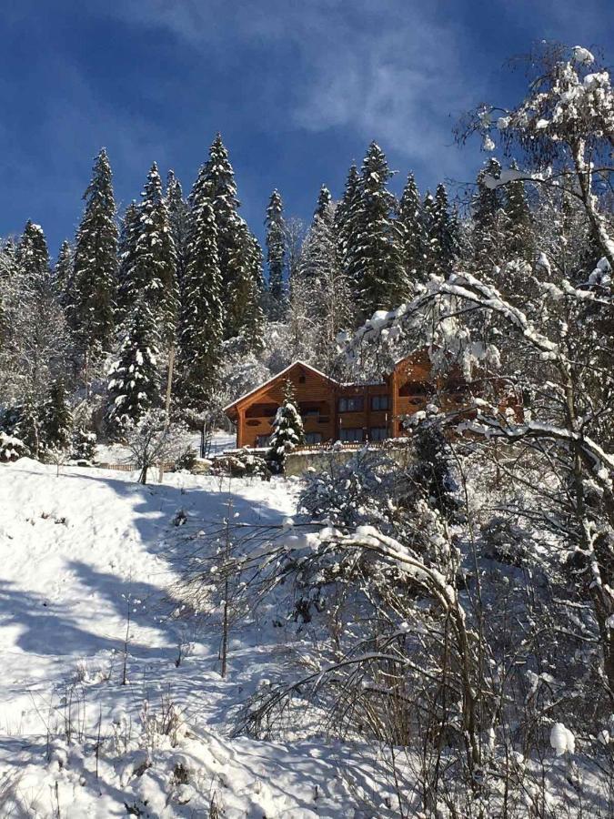 Privatna Sadiba Chalet Oryavchyk Exterior photo