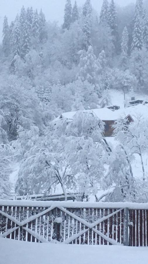 Privatna Sadiba Chalet Oryavchyk Exterior photo